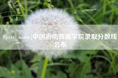 崇左中国消防救援学院录取分数线公布