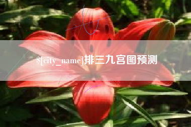 崇左排三九宫图预测