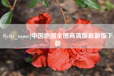 崇左中国地图全图高清版最新版下载
