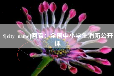 崇左回看：全国中小学生消防公开课