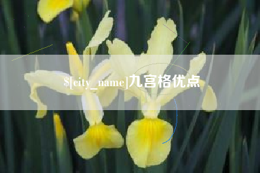 崇左九宫格优点