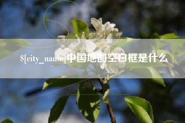 崇左中国地图空白框是什么
