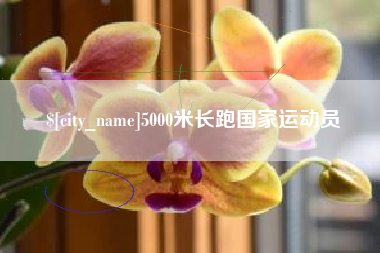 崇左5000米长跑国家运动员