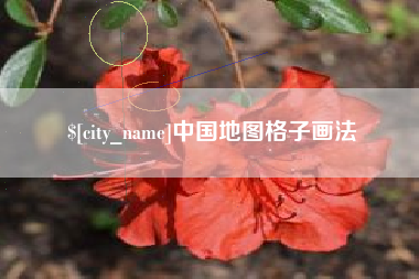 崇左中国地图格子画法