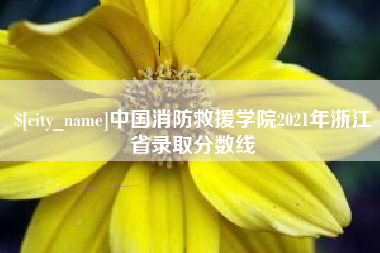 崇左中国消防救援学院2021年浙江省录取分数线