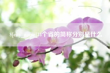 崇左34个省的简称分别是什么