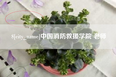 崇左中国消防救援学院 老师