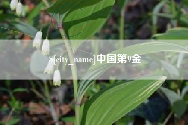 崇左中国第9金