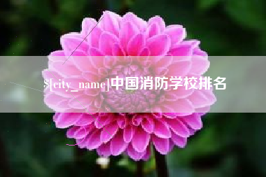 崇左中国消防学校排名