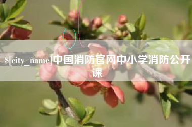 崇左中国消防官网中小学消防公开课