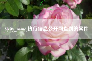 崇左执行信息公开网查到的案件
