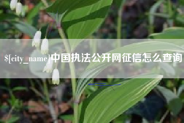 崇左中国执法公开网征信怎么查询