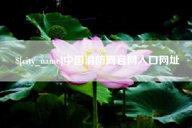 崇左中国消防网官网入口网址