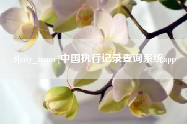 崇左中国执行记录查询系统app