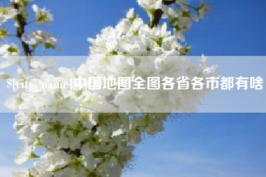 崇左中国地图全图各省各市都有啥