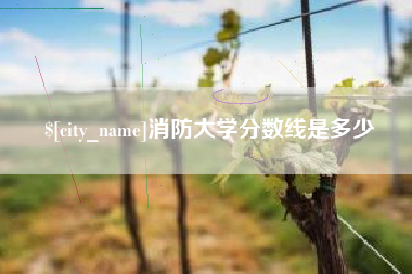 崇左消防大学分数线是多少