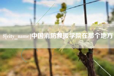 崇左中国消防救援学院在那个地方