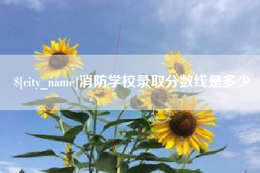 崇左消防学校录取分数线是多少