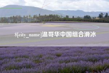 崇左温哥华中国组合滑冰