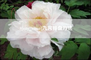 崇左九宫排盘方法