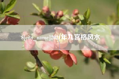 崇左2021年九宫格风水