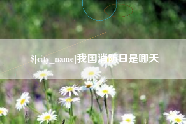 崇左我国消防日是哪天