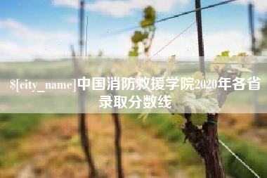 崇左中国消防救援学院2020年各省录取分数线