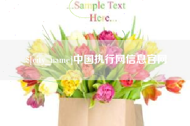 崇左中国执行网信息官网