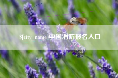 崇左中国消防报名入口