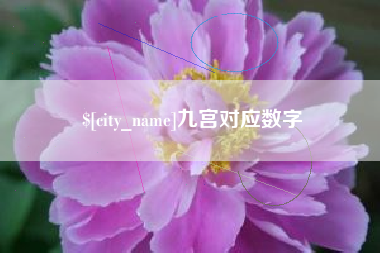 崇左九宫对应数字