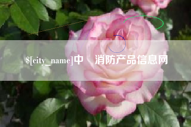 崇左中囯消防产品信息网