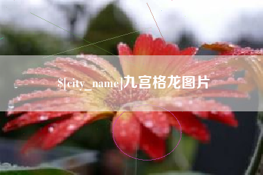 崇左九宫格龙图片