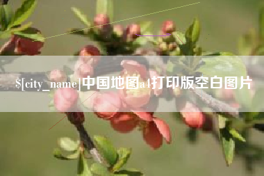 崇左中国地图a4打印版空白图片