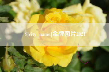 崇左金牌图片2021