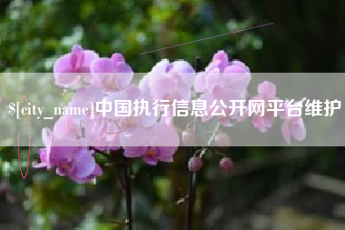 崇左中国执行信息公开网平台维护