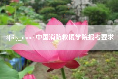 崇左中国消防救援学院报考要求