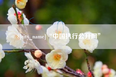 崇左“中国执行公开网”