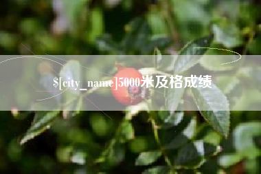 崇左5000米及格成绩