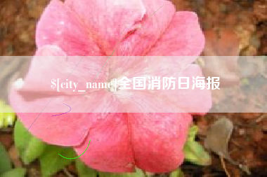 崇左全国消防日海报