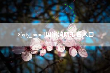 崇左国家消防报名入口