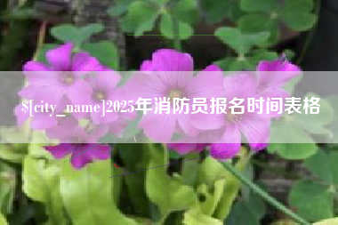 崇左2025年消防员报名时间表格