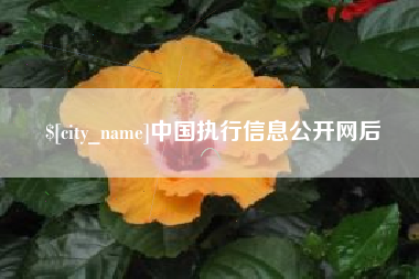 崇左中国执行信息公开网后