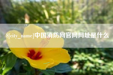 崇左中国消防网官网网址是什么