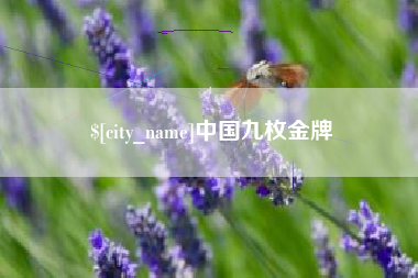 崇左中国九枚金牌