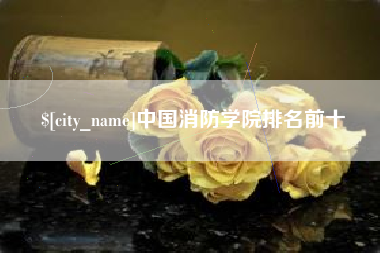 崇左中国消防学院排名前十