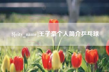 崇左王子豪个人简介乒乓球