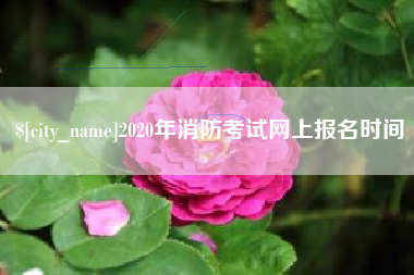 崇左2020年消防考试网上报名时间