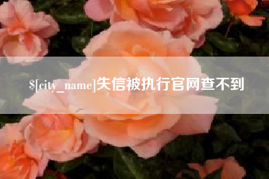 崇左失信被执行官网查不到
