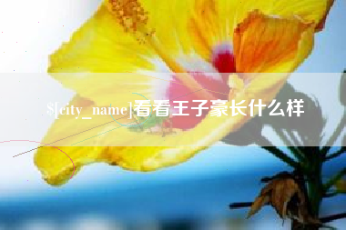 崇左看看王子豪长什么样