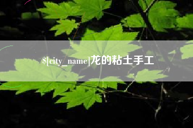 崇左龙的粘土手工